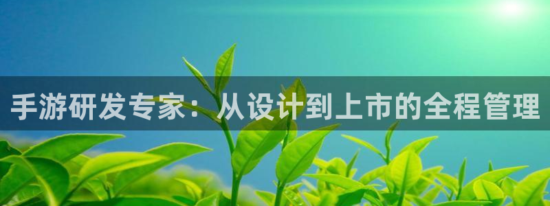 恩佐娱乐登陆：手游研发专家：从设计到上市的全程管理