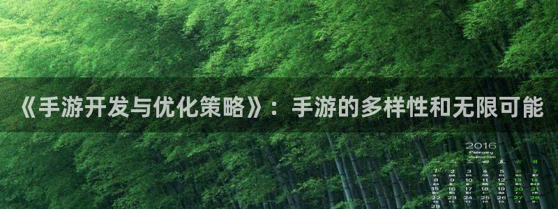 恩佐娱乐手机版最新功能介绍大全：《手游开发与优化策略》：手游
