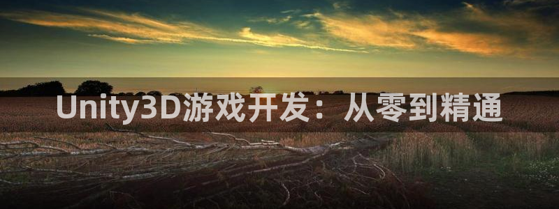 恩佐娱乐登陆：Unity3D游戏开发：从零到精通