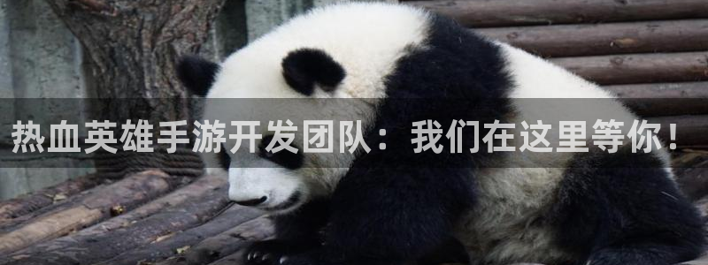 恩佐娱乐1：热血英雄手游开发团队：我们在这里等你！