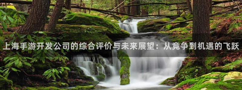 恩佐娱乐手机版最新功能介绍大全：上海手游开发公司的综合评价与