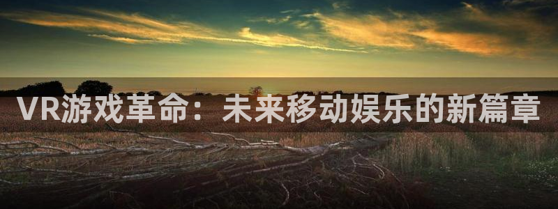 恩佐娱乐平台正规吗安全吗：VR游戏革命：未来移动娱乐的新篇章
