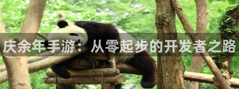 恩佐娱乐：庆余年手游：从零起步的开发者之路
