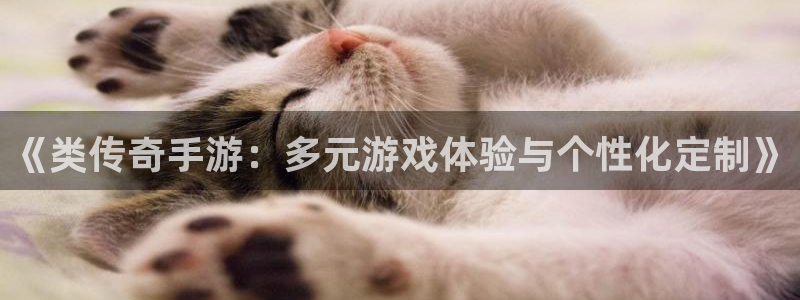 恩佐娱乐1：《类传奇手游：多元游戏体验与个性化定制》