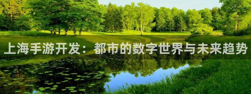 恩佐娱乐登陆：上海手游开发：都市的数字世界与未来趋势