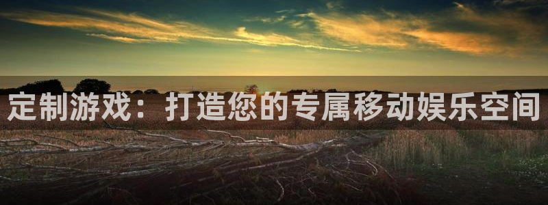 恩佐娱乐平台正规吗安全吗：定制游戏：打造您的专属移动娱乐空间