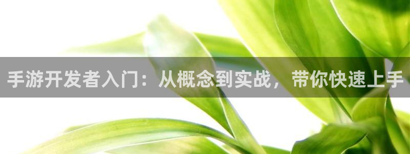恩佐娱乐登陆：手游开发者入门：从概念到实战，带你快速上手