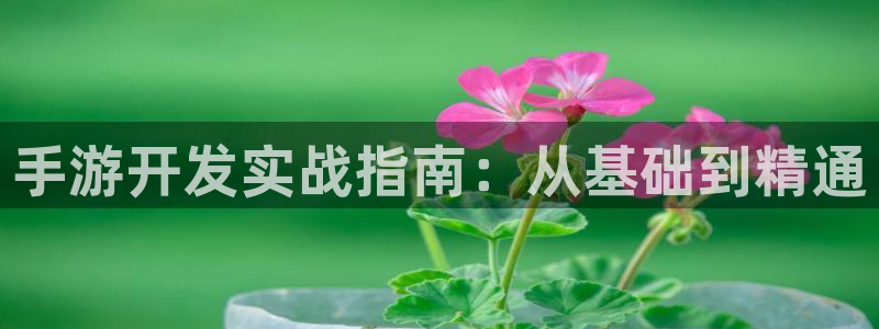 恩佐娱乐平台正规吗知乎：手游开发实战指南：从基础到精通