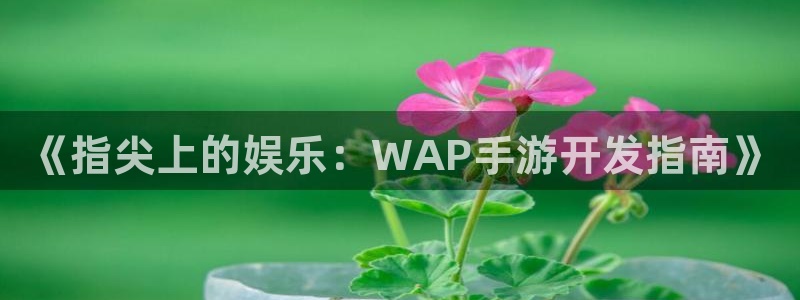 恩佐娱乐手机版最新功能介绍大全：《指尖上的娱乐：WAP手游开