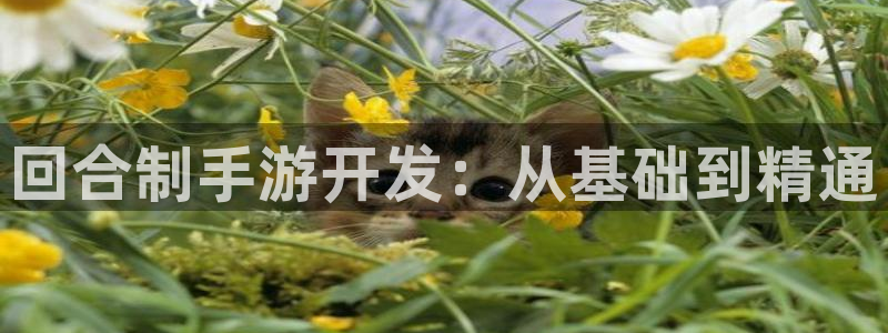 恩佐娱乐：回合制手游开发：从基础到精通