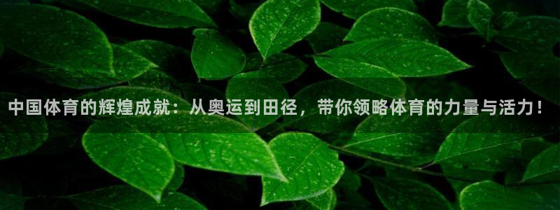 菲律宾ug环球官网：中国体育的辉煌成就：从奥运到田径，带你领略体育的力量与活力！