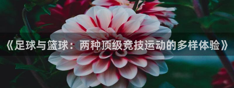 菲律宾ug环球官网：《足球与篮球：两种顶级竞技运动的多样体验》