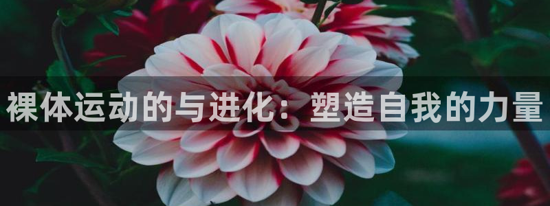 ug环球官网：裸体运动的与进化：塑造自我的力量